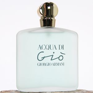 Outlet - Acqua Di Gio 100ml - Perfume Feminino - Eau De Toilette