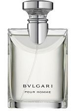 Bvlgari Pour Homme 100ml - Perfume Masculino - Eau De Toilette