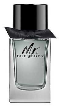 Mr. Burberry For Men 100ml - Perfume Masculino - Eau De Toilette